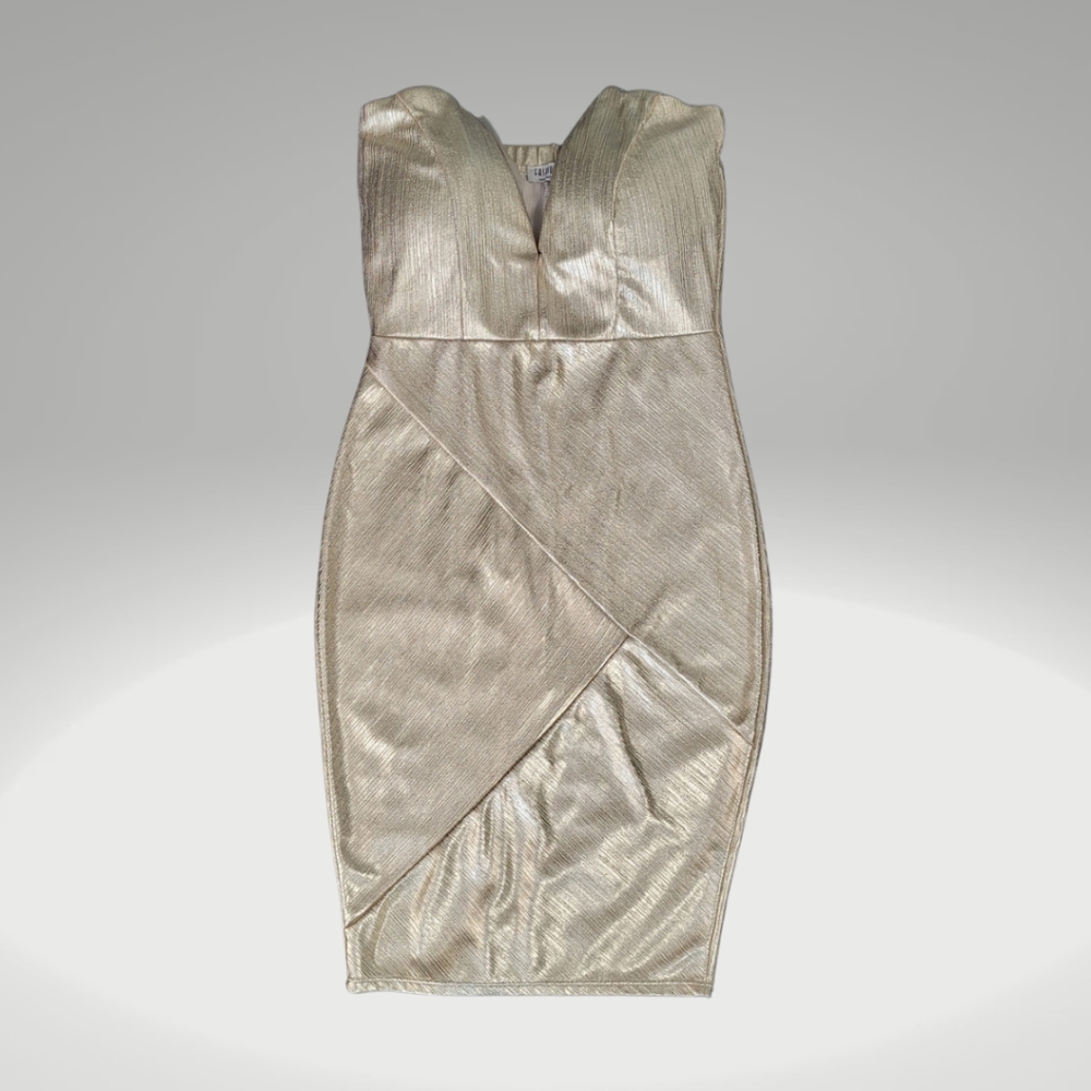 Fashion Nova Shiny Metallic Deep Plunge Short Dress